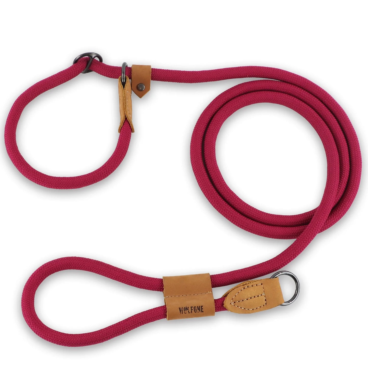 2-in-1 Hundeleine - Leine und Halsband in einem