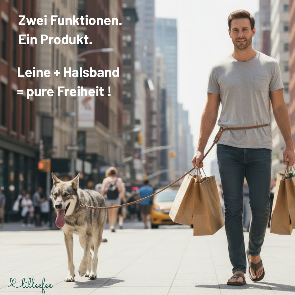 2-in-1 Hundeleine - Leine und Halsband in einem