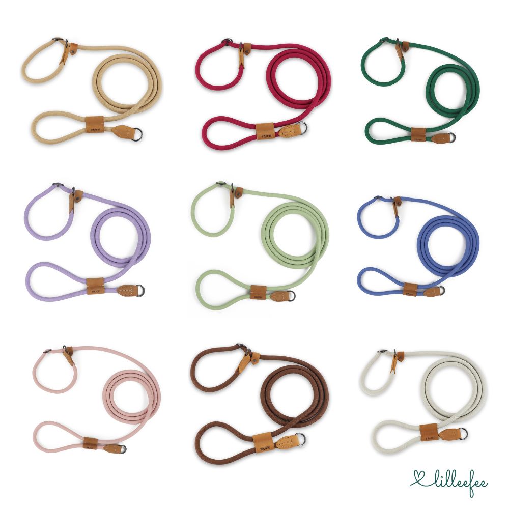 2-in-1 Hundeleine - Leine und Halsband in einem