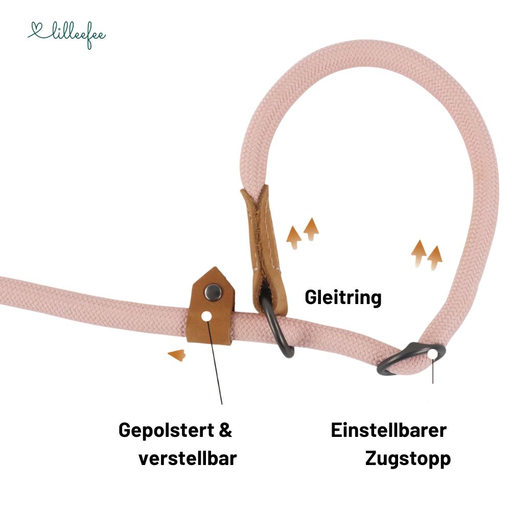 2-in-1 Hundeleine - Leine und Halsband in einem