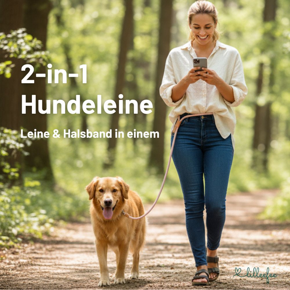2-in-1 Hundeleine - Leine und Halsband in einem