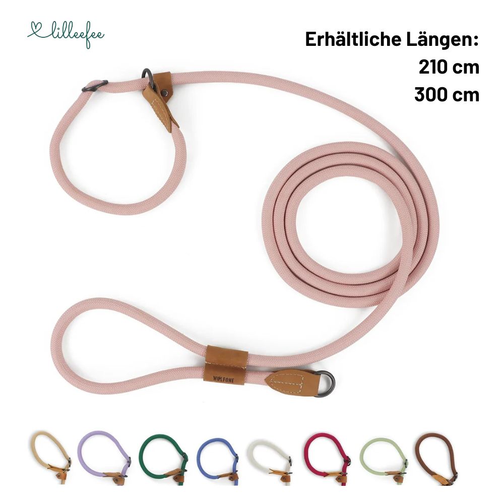 2-in-1 Hundeleine - Leine und Halsband in einem