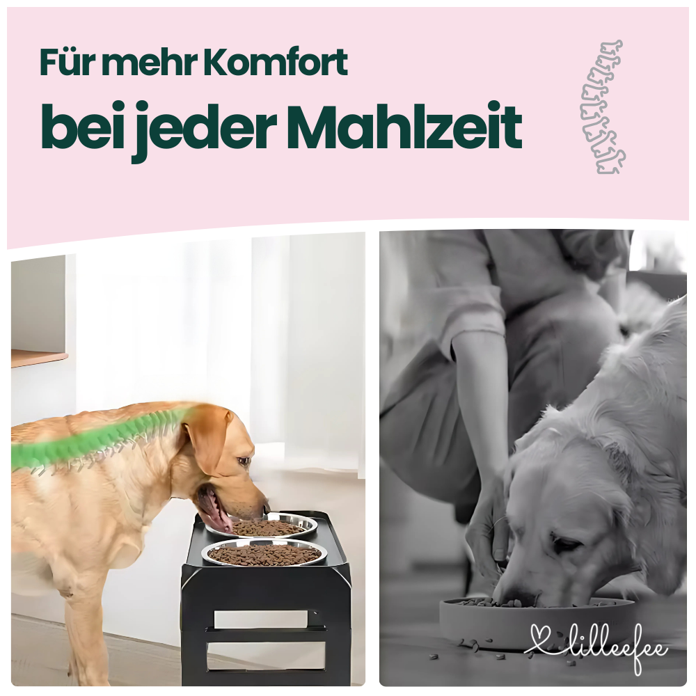 Erhöhte Futternäpfe – Gesünderes & komfortableres Fressen ohne Bücken
