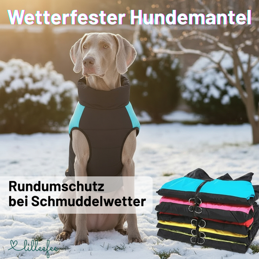 Hundemantel für kleine bis mittelgroße Hunde – wasserdicht & wetterfest