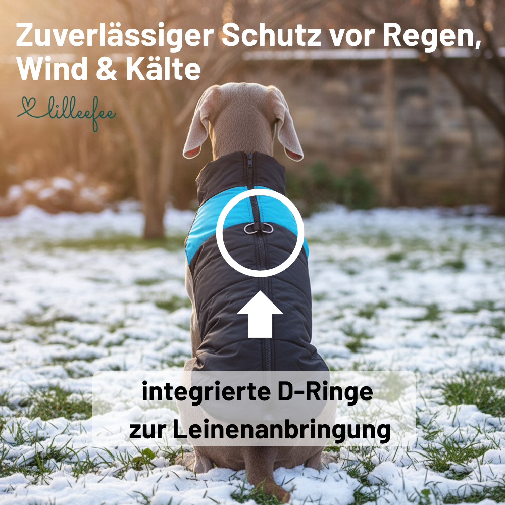 Hundemantel für kleine bis mittelgroße Hunde – wasserdicht & wetterfest