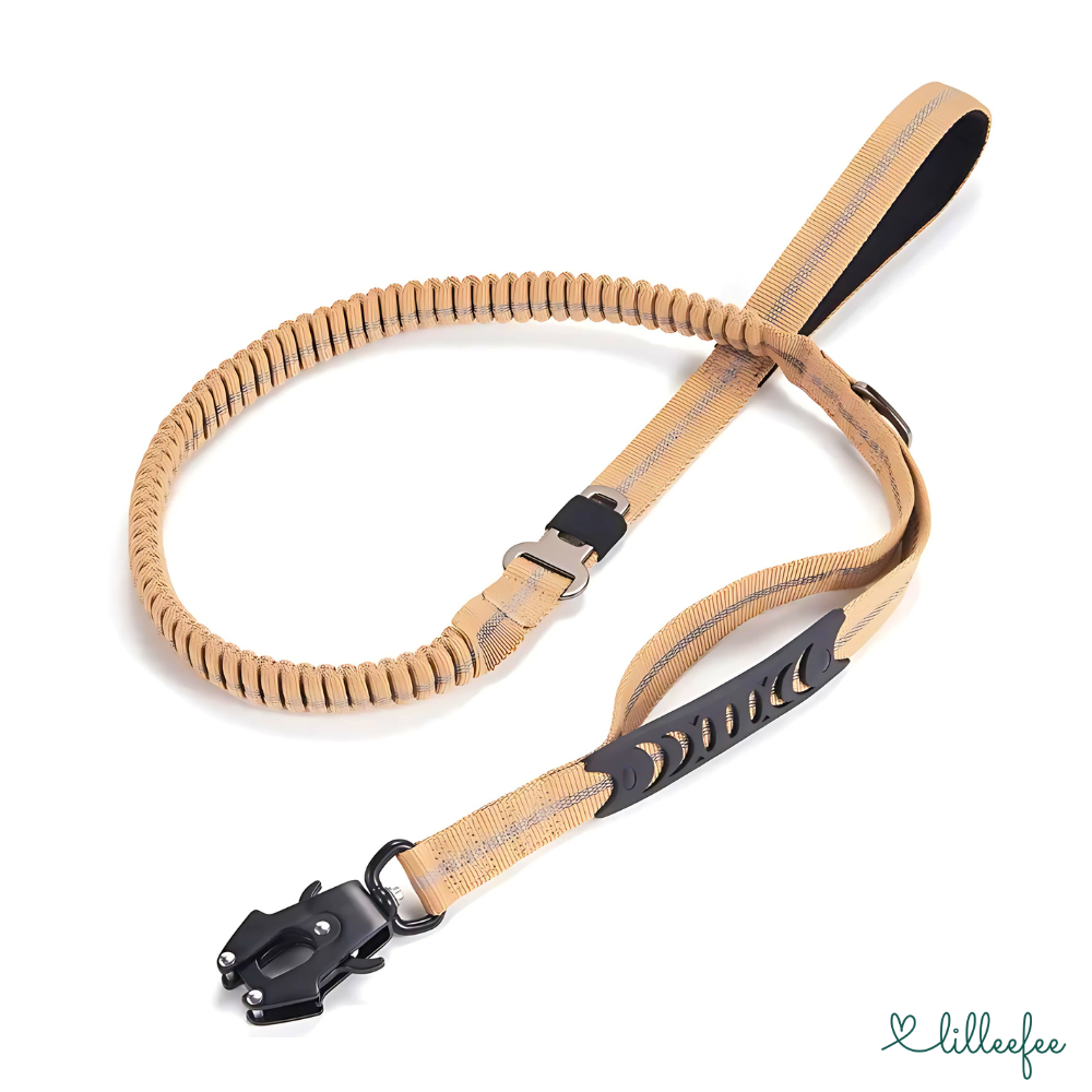 2-in-1 Bungee-Hundeleine – Sanftes Abfedern & volle Kontrolle unterwegs