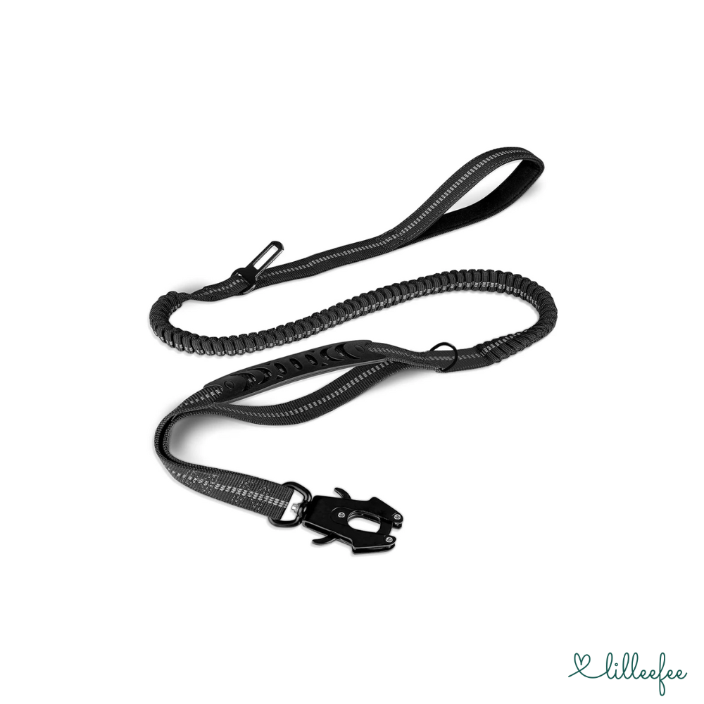 2-in-1 Bungee-Hundeleine – Sanftes Abfedern & volle Kontrolle unterwegs