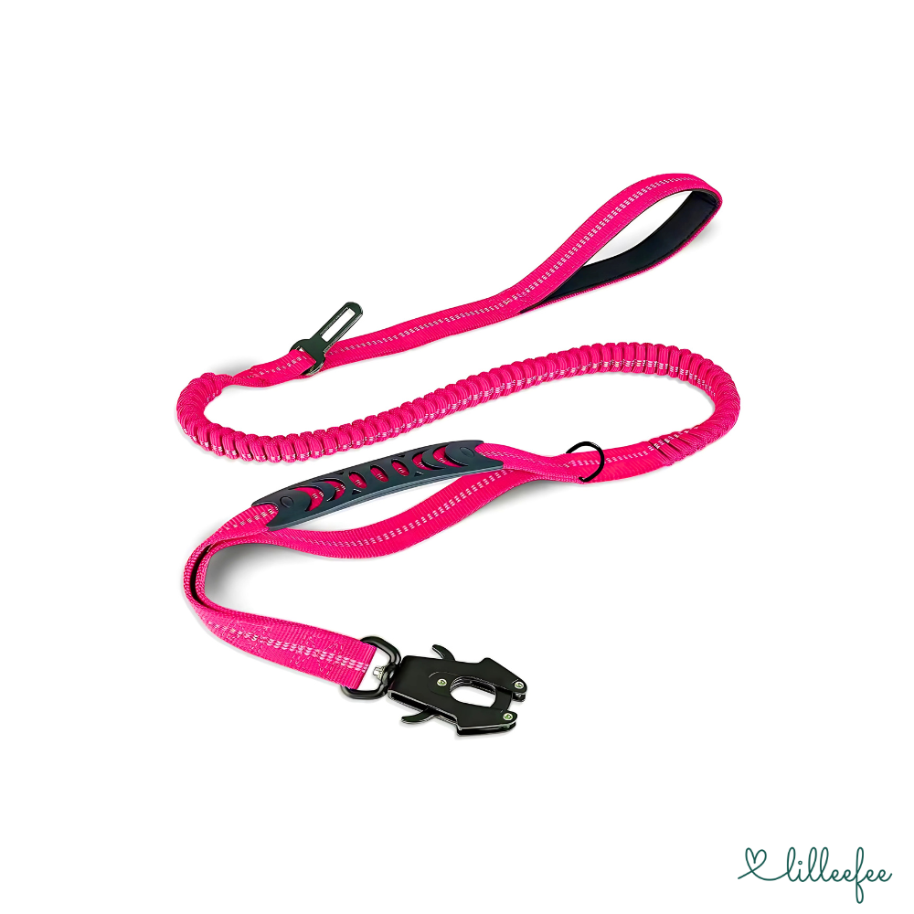 2-in-1 Bungee-Hundeleine – Sanftes Abfedern & volle Kontrolle unterwegs
