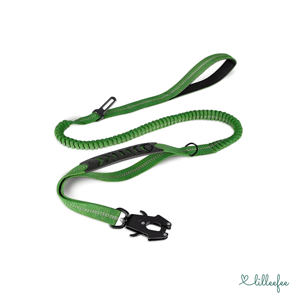 2-in-1 Bungee-Hundeleine – Sanftes Abfedern & volle Kontrolle unterwegs
