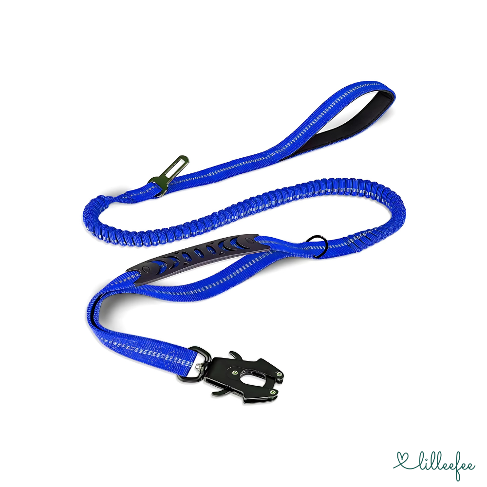 2-in-1 Bungee-Hundeleine – Sanftes Abfedern & volle Kontrolle unterwegs