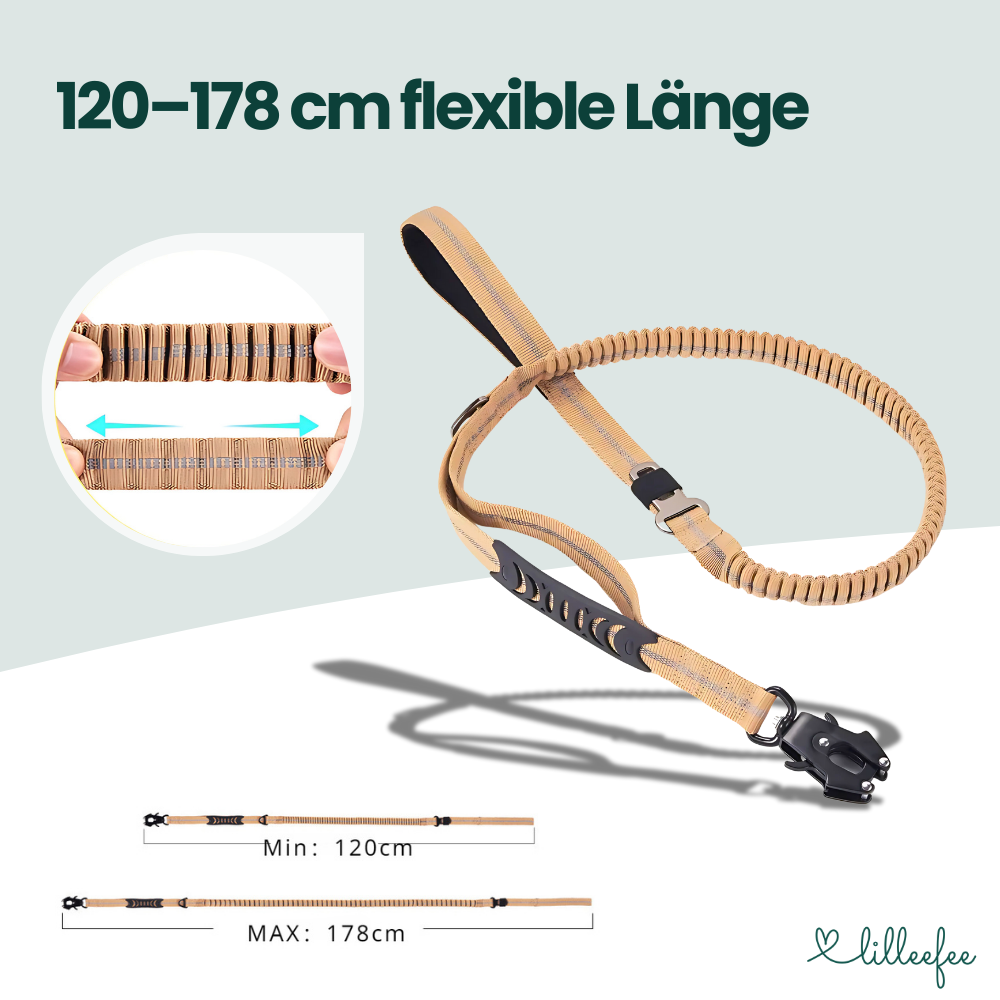 2-in-1 Bungee-Hundeleine – Sanftes Abfedern & volle Kontrolle unterwegs