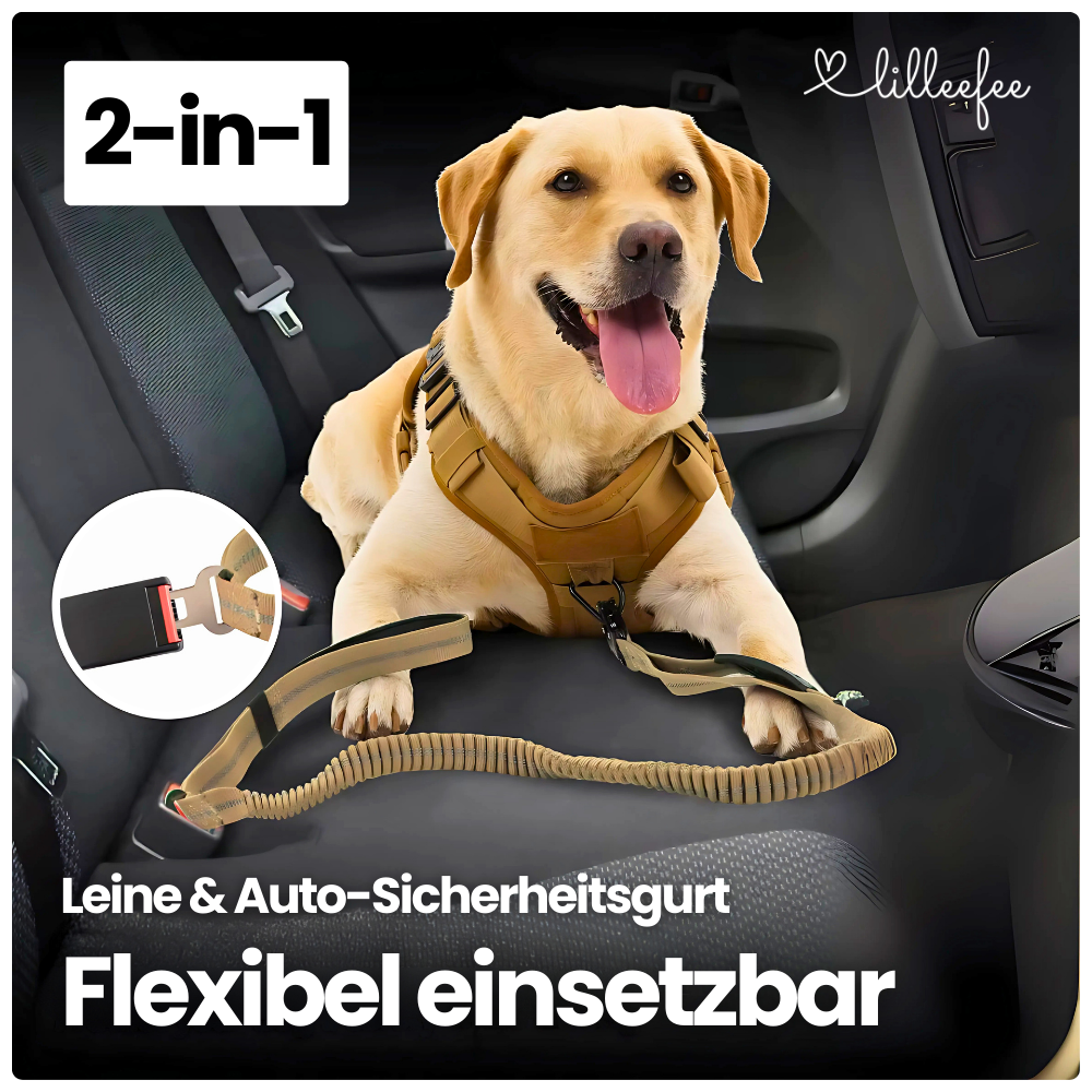 2-in-1 Bungee-Hundeleine – Sanftes Abfedern & volle Kontrolle unterwegs