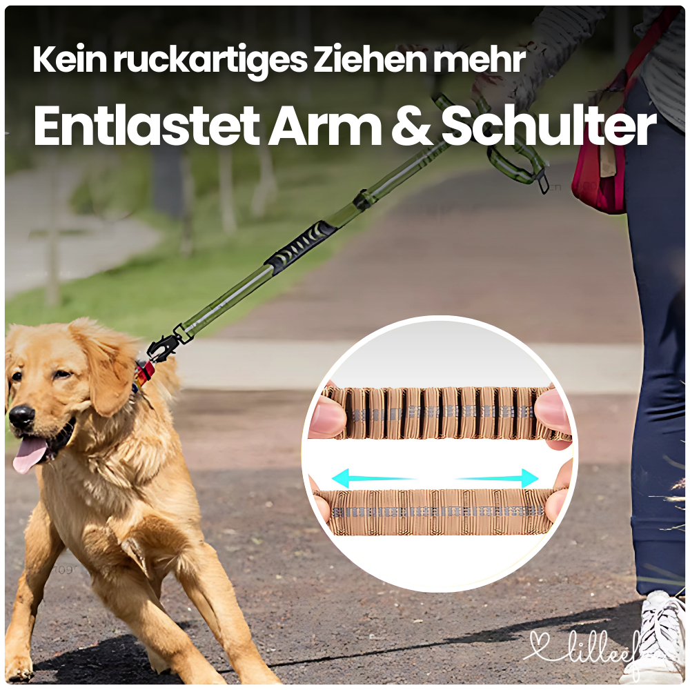 2-in-1 Bungee-Hundeleine – Sanftes Abfedern & volle Kontrolle unterwegs