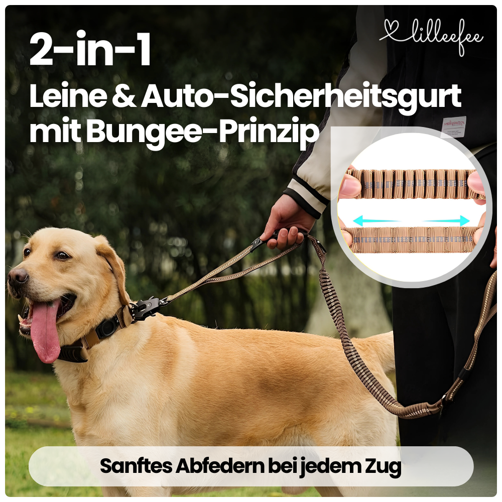 2-in-1 Bungee-Hundeleine – Sanftes Abfedern & volle Kontrolle unterwegs