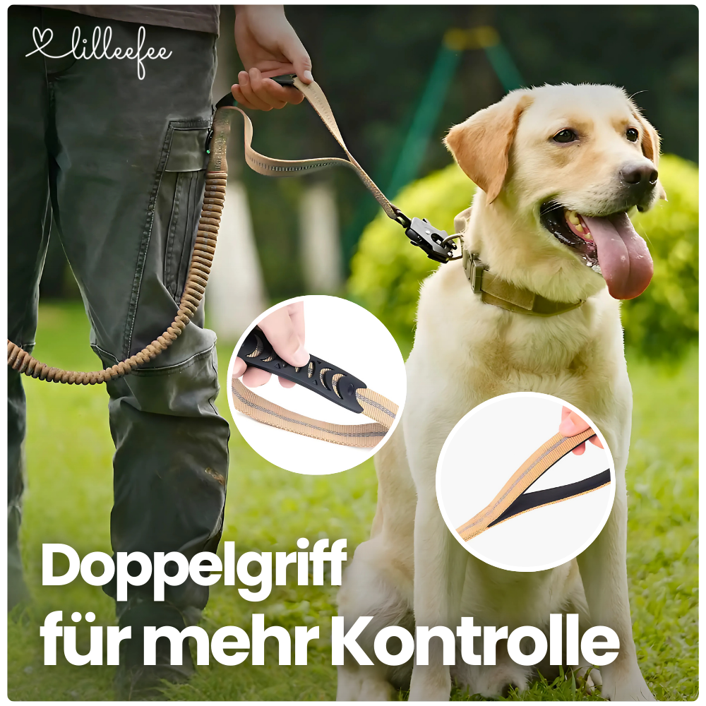 2-in-1 Bungee-Hundeleine – Sanftes Abfedern & volle Kontrolle unterwegs