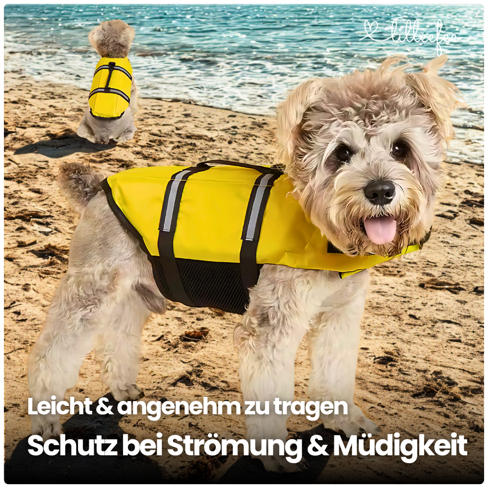 Hundeschwimmweste – Maximale Sicherheit & Sichtbarkeit im Wasser