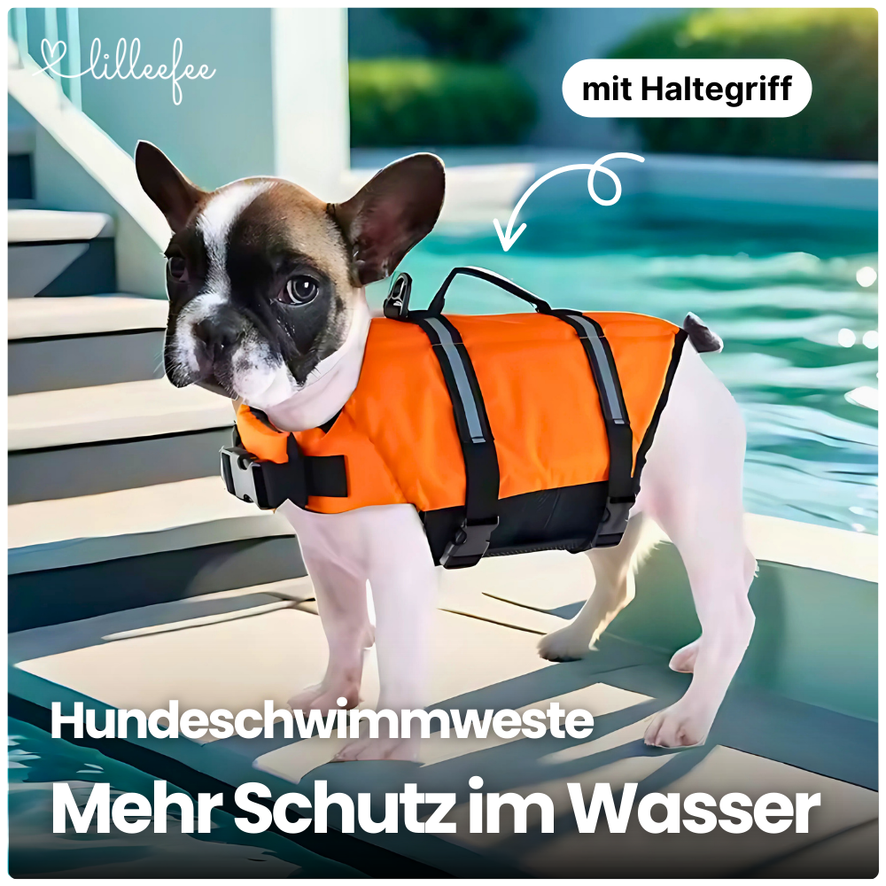 Hundeschwimmweste – Maximale Sicherheit & Sichtbarkeit im Wasser