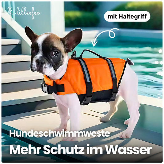 Hundeschwimmweste – Maximale Sicherheit & Sichtbarkeit im Wasser