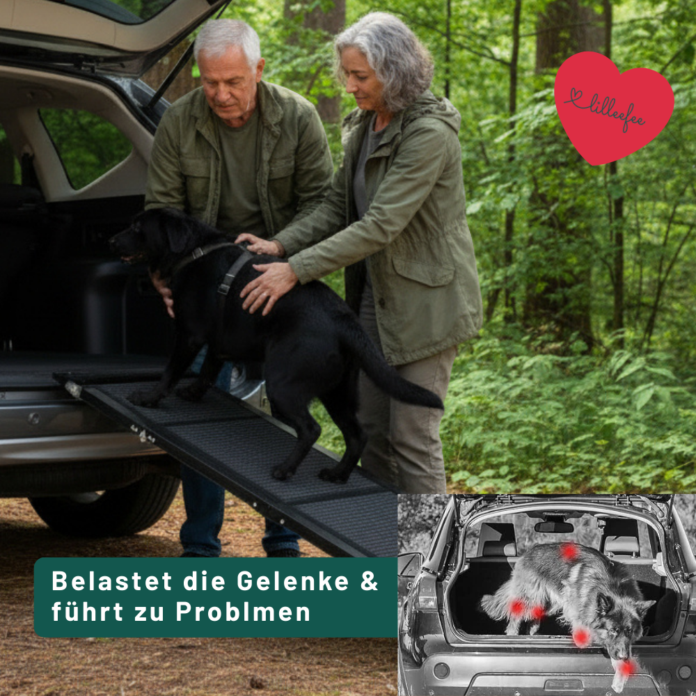 Faltbare-hunderampe-sofa-platzsparend-rutschfest-unterwegs