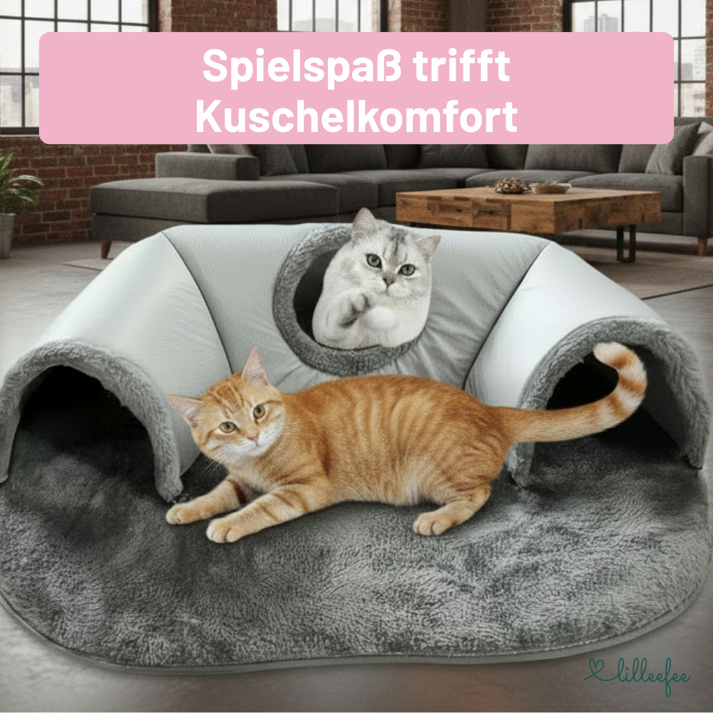 kuscheliger-katzentunnel-spielspass