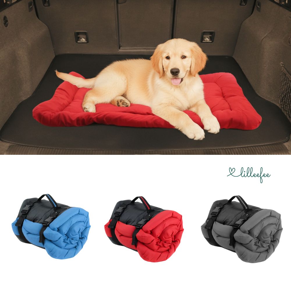 Tragbares Hundekissen für unterwegs - Komfort zum mitnehmen