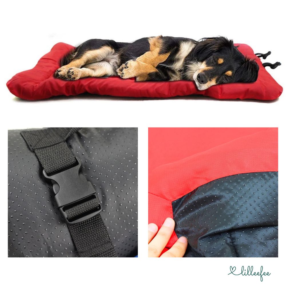 Tragbares Hundekissen für unterwegs - Komfort zum mitnehmen