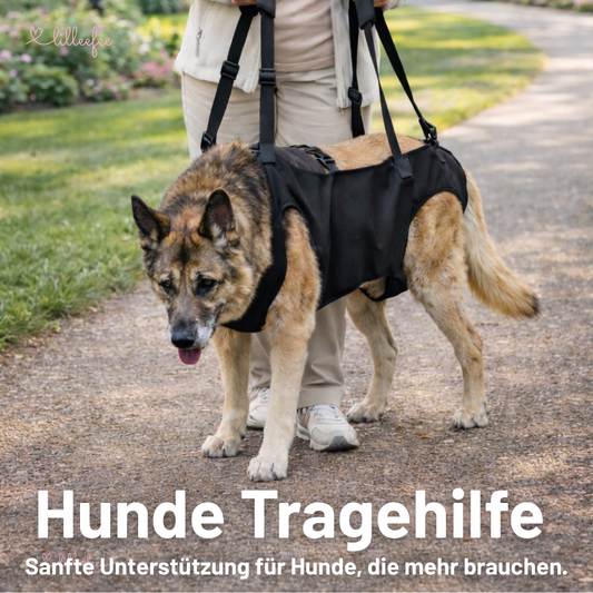 Hunde-Tragehilfe & Körperstützgeschirr für Senioren und verletzte Hunde