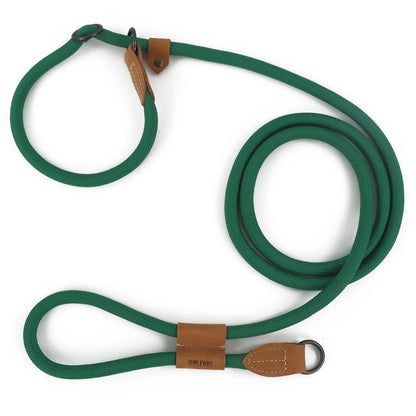 2-in-1 Hundeleine - Leine und Halsband in einem