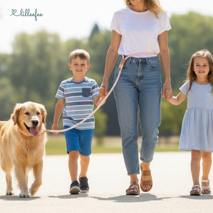 2-in-1 Hundeleine - Leine und Halsband in einem