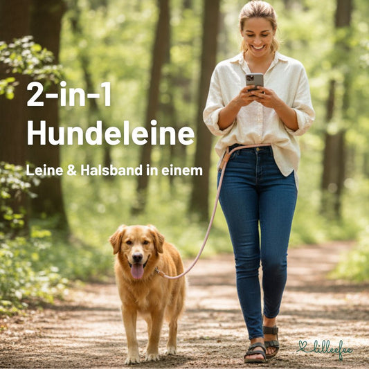 2-in-1 Hundeleine - Leine und Halsband in einem