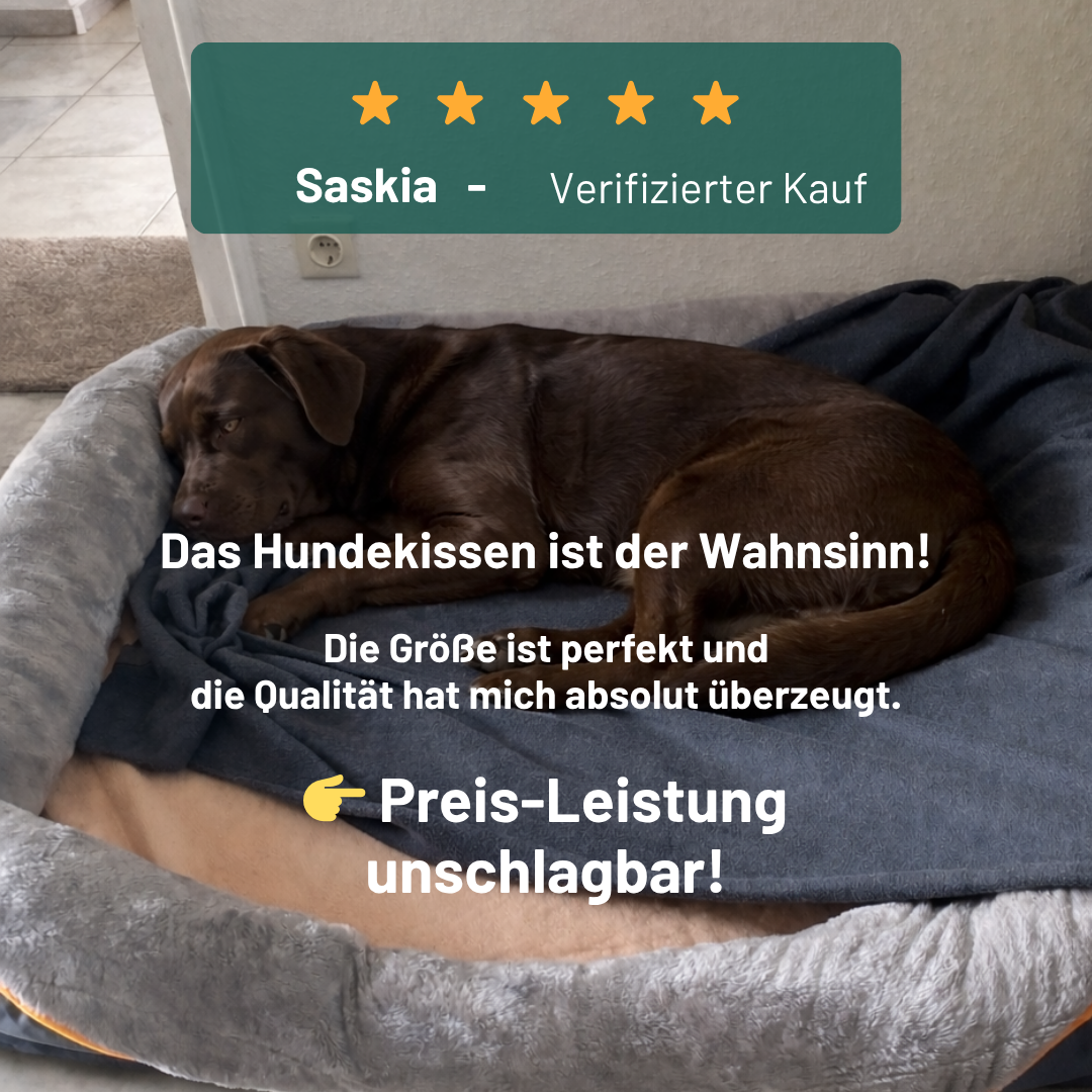 Orthopädisches Premium-Hundekissen für große Hunde mit großem Anspruch