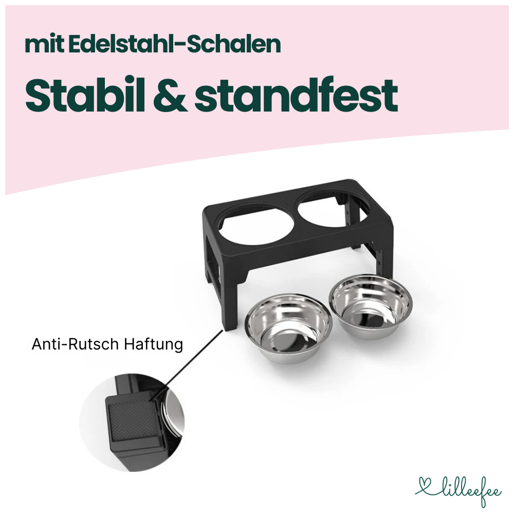 Erhöhte Futternäpfe – Gesünderes & komfortableres Fressen ohne Bücken