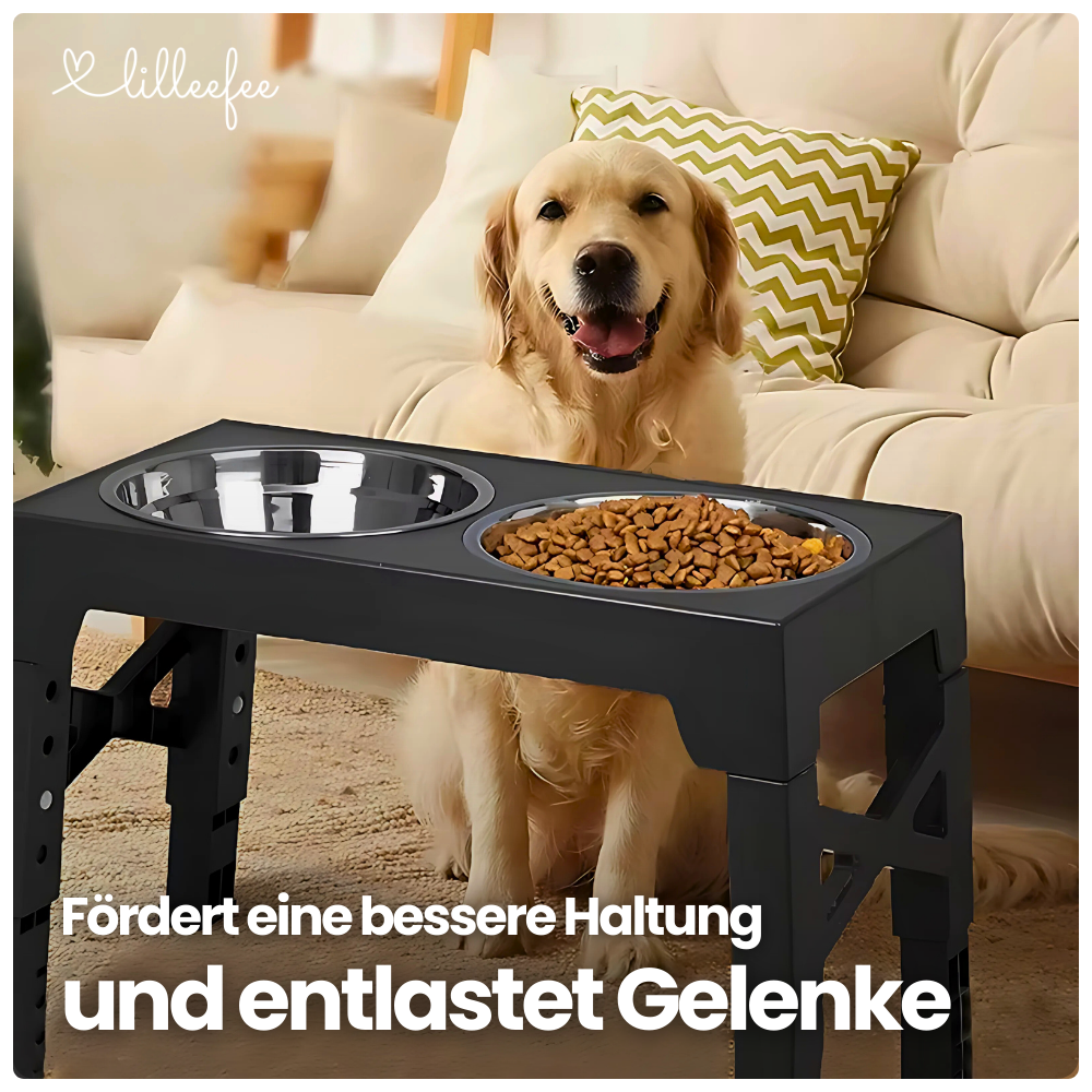 Erhöhte Futternäpfe – Gesünderes & komfortableres Fressen ohne Bücken