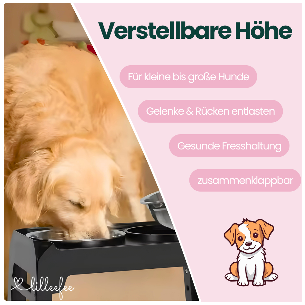 Erhöhte Futternäpfe – Gesünderes & komfortableres Fressen ohne Bücken