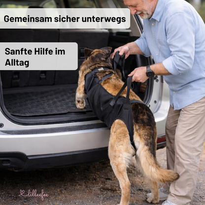 Hunde-Tragehilfe & Körperstützgeschirr für Senioren und verletzte Hunde