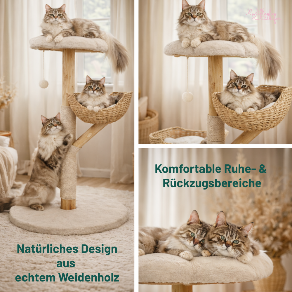 Stilvoller Design-Katzenbaum – Massivholz Activity Center 110 cm