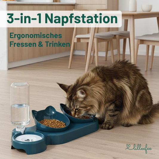 3-in-1 Katzen Napfstation mit automatischer Wasserzufuhr