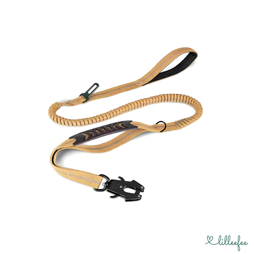 2-in-1 Bungee-Hundeleine – Sanftes Abfedern & volle Kontrolle unterwegs