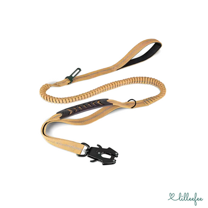 2-in-1 Bungee-Hundeleine – Sanftes Abfedern & volle Kontrolle unterwegs