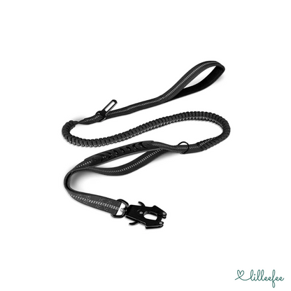 2-in-1 Bungee-Hundeleine – Sanftes Abfedern & volle Kontrolle unterwegs
