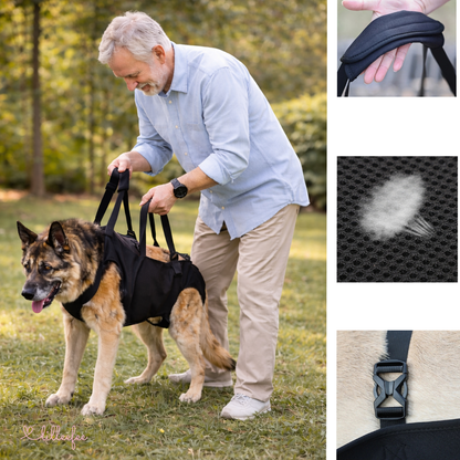 Hunde-Tragehilfe & Körperstützgeschirr für Senioren und verletzte Hunde