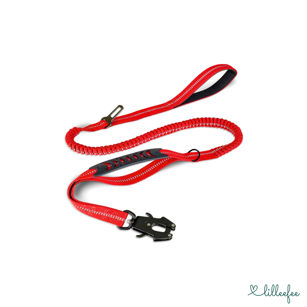 2-in-1 Bungee-Hundeleine – Sanftes Abfedern & volle Kontrolle unterwegs