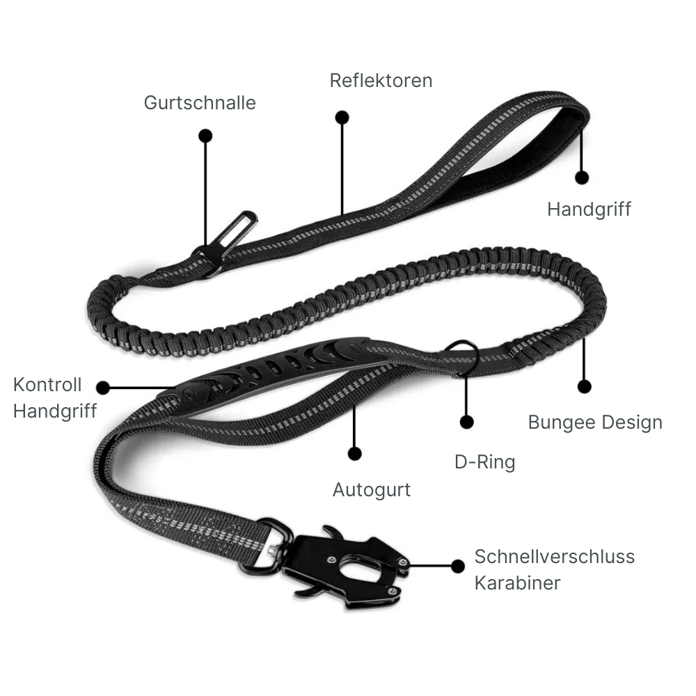 2-in-1 Bungee-Hundeleine – Sanftes Abfedern & volle Kontrolle unterwegs