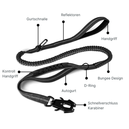 2-in-1 Bungee-Hundeleine – Sanftes Abfedern & volle Kontrolle unterwegs