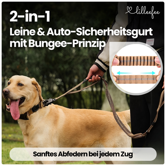 2-in-1 Bungee-Hundeleine – Sanftes Abfedern & volle Kontrolle unterwegs