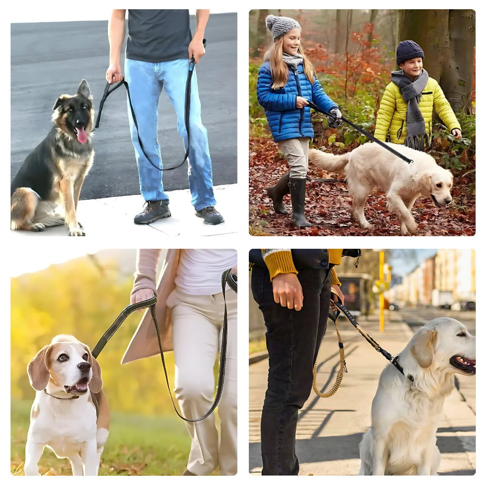2-in-1 Bungee-Hundeleine – Sanftes Abfedern & volle Kontrolle unterwegs