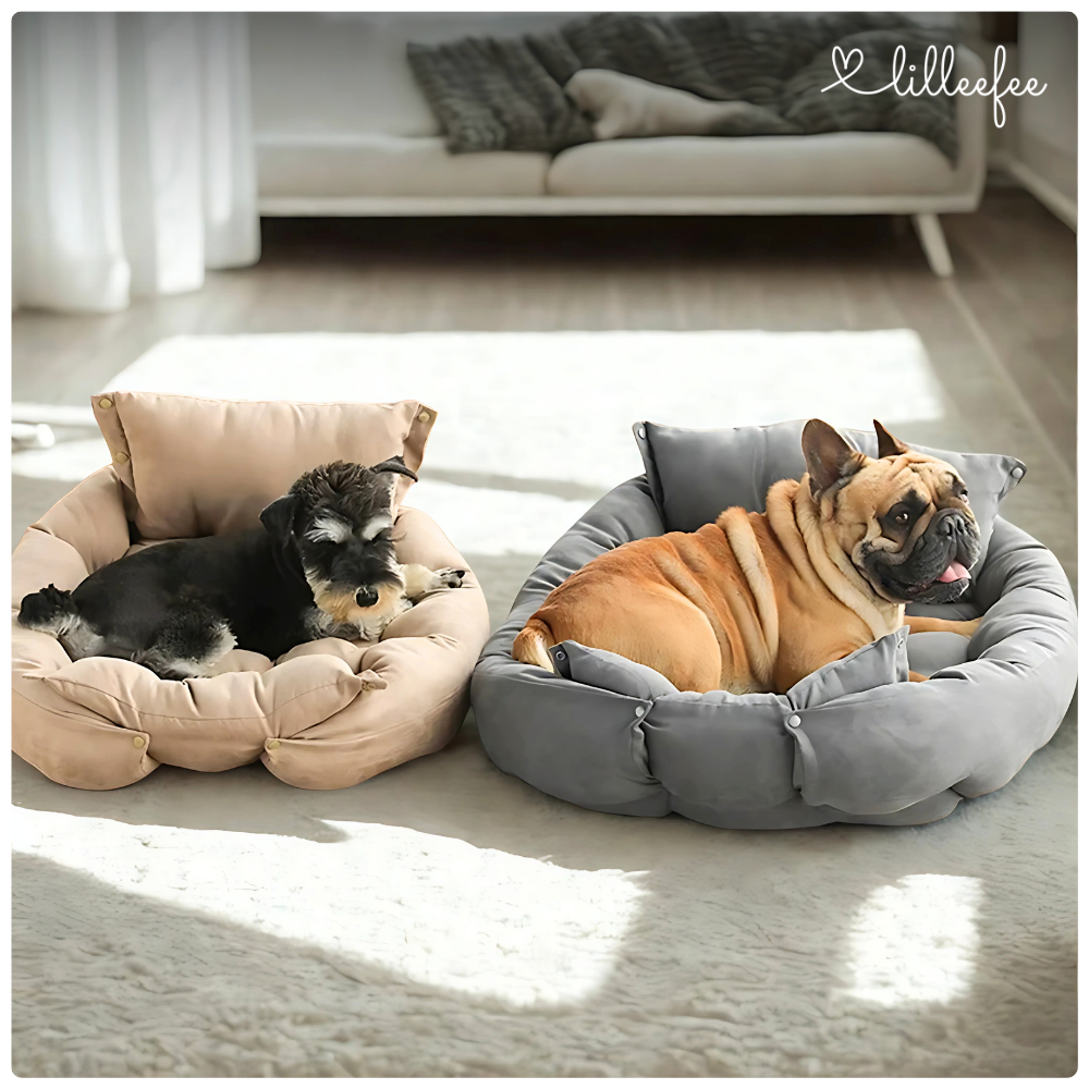 Multifunktionales 3-in-1 Haustierbett – Sofa, Matte & Bett in Sekunden