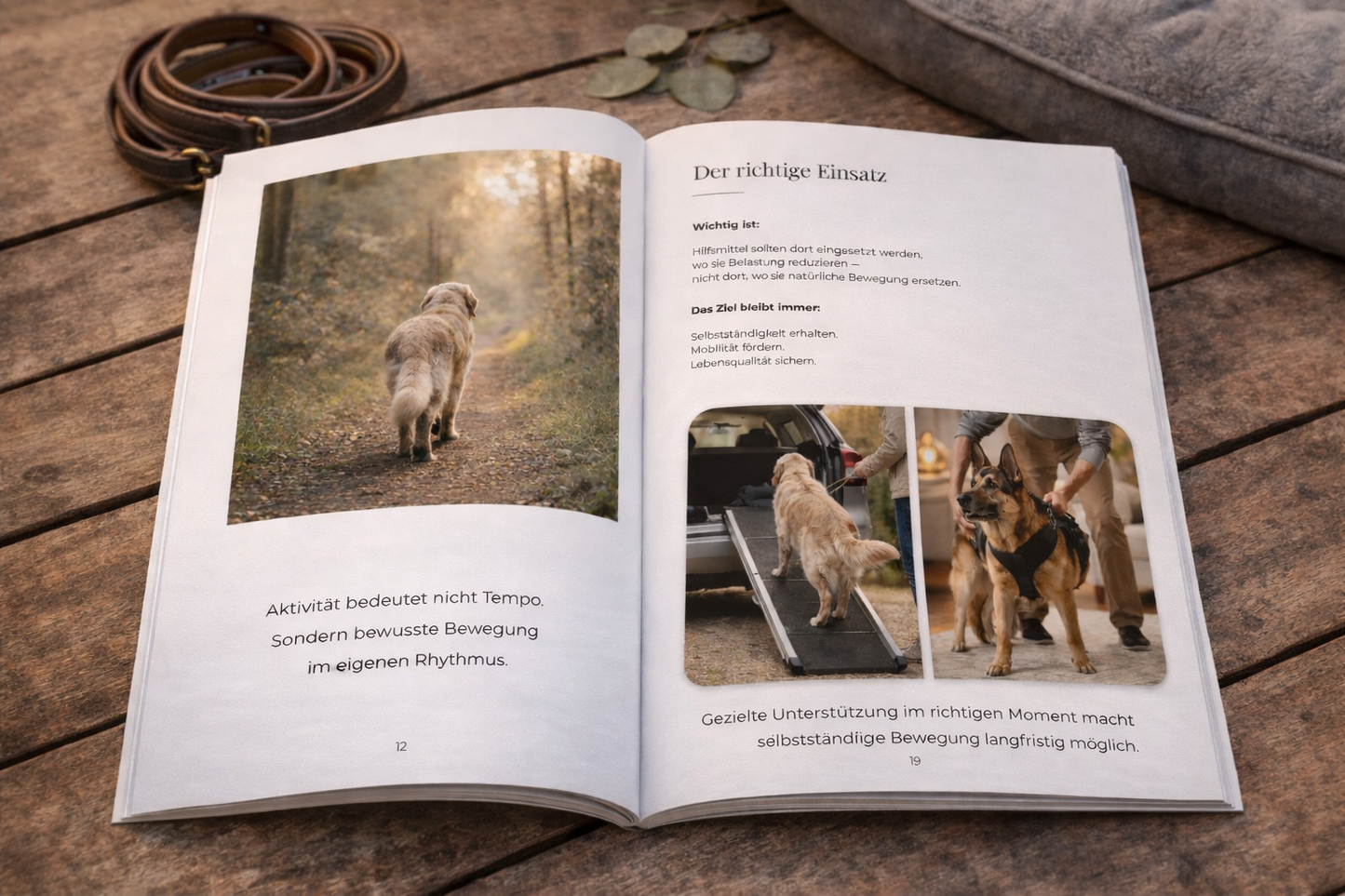 Die besten Jahre bewusst begleiten – Leitfaden für große Hunde im Alter (PDF)