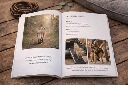 Die besten Jahre bewusst begleiten – Leitfaden für große Hunde im Alter (PDF)