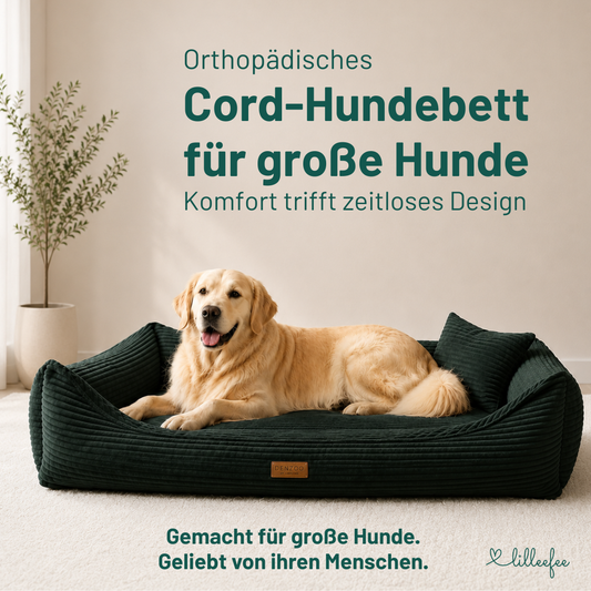 Orthopädisches Cord-Hundebett für große Hunde - stilvoll und gelenkschonend